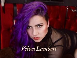 VelvetLambert