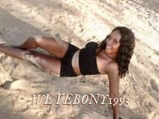 WETEBONY1993