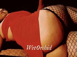 WetOrchid