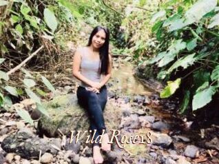Wild_Rose18