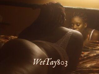WetTay803