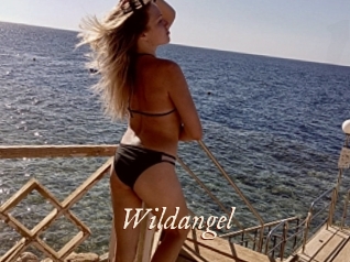 Wildangel