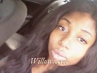 Willow_secret