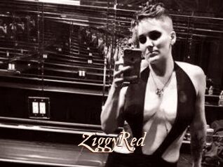 ZiggyRed
